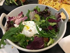 -百好乐宠物友好餐厅(朝外大街店)