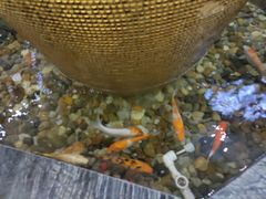 -大桶水·全国旗舰店(体育路店)