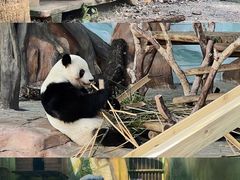 -南宁市动物园