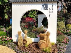 -海心沙亚运公园