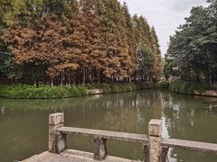-乌镇东栅景区