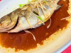 -鱼满舱·鲜活海鲜·正宗鲁菜