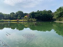 -南宁南湖公园