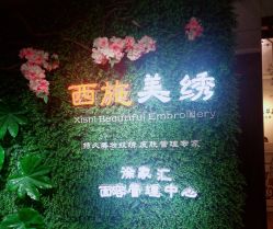 -西施无菌半永久纹绣眉眼影唇轻增发纹发际线