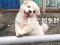 -昆山城市生态森林公园