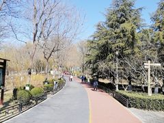 -大兴滨河森林公园