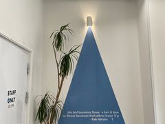 -Blueglass酸奶(上生新所店)