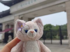 -苏州上方山国家森林公园