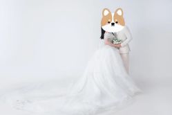 -莫兰迪婚纱摄影