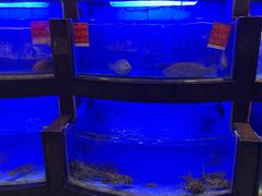 -御同亨酒楼·喜宴