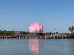 -白洋淀景区