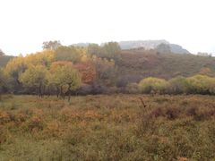 -塞罕坝国家级自然保护区