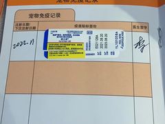 -猫冇咖·家门口的撸猫馆(大融城店)