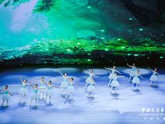 -中央芭蕾舞团·中芭艺蕾(酒仙桥明星校区)