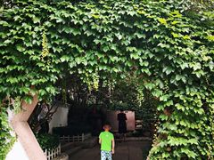 景点-信号山公园