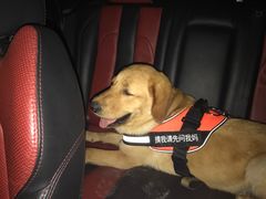 -马老三烧烤(金苑路店)