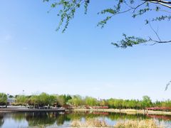 -永定河休闲森林公园