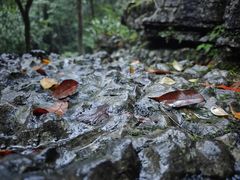-梭布垭石林景区