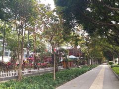 -半岛太子酒家(海港城店)
