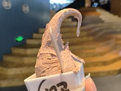 -野人牧坊Gelato(天津南开大悦城店)