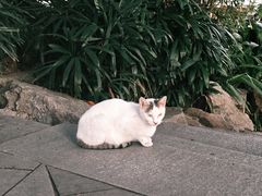 -荔湾湖公园