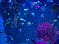 -沈阳海洋探索中心