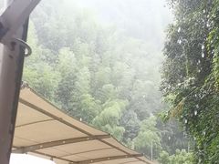 -将军关探险漂流