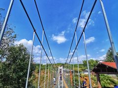 -磐安舞龙峡景区