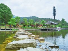 -黄陂区野村谷景区