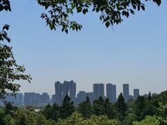 -西湖风景区-江洋畈生态公园