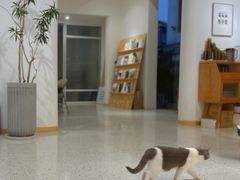-侘山民宿(杭州西湖龙坞店)