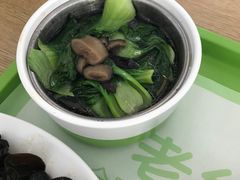 香菇青菜-老乡鸡(合肥高铁南站店)