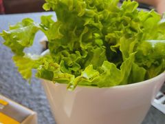 生菜-贺野·自助炭火烤肉(紫藤路店)