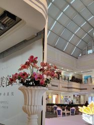 -禾丽康美医疗美容医院