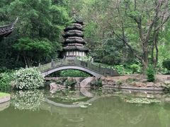 -深圳国际园林花卉博览园