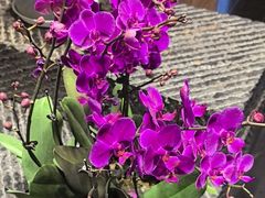 -黔蘑菇四季餐厅(观山湖店)