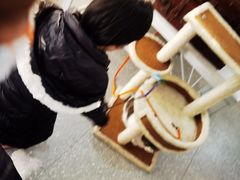 -共舞时光猫咖·狗咖(新街口店)