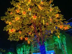 -珠海海泉湾神秘岛亲子乐园