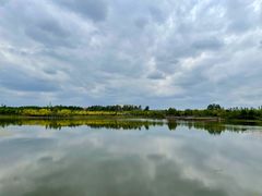 -东郊湿地公园