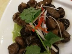 -中恒华茶楼(牌坊店)