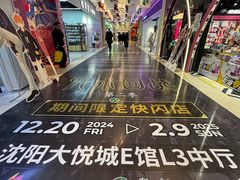 -大悦城(沈阳中街店)