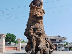 -许慎文化园