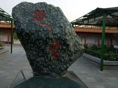 -神州牡丹园
