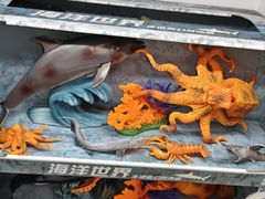 -湖南省地质博物馆