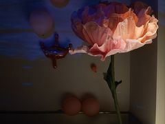 -晶雅花园西餐厅(南京首店)
