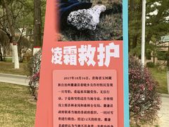 -青藏高原野生动物园