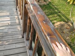 -羊亭河湿地公园