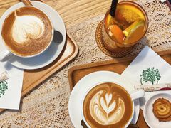 -树咖啡tree coffee