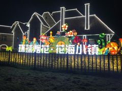 -大塘金香草谷