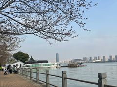-无锡蠡湖国家湿地公园-蠡园